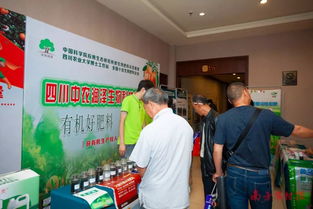 红海突围 在饱和的柑橘市场中，哪些品种仍在创造财富奇迹？