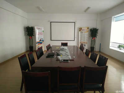 山东盘石网络科技 引领企业数字化转型的专业咨询策划服务